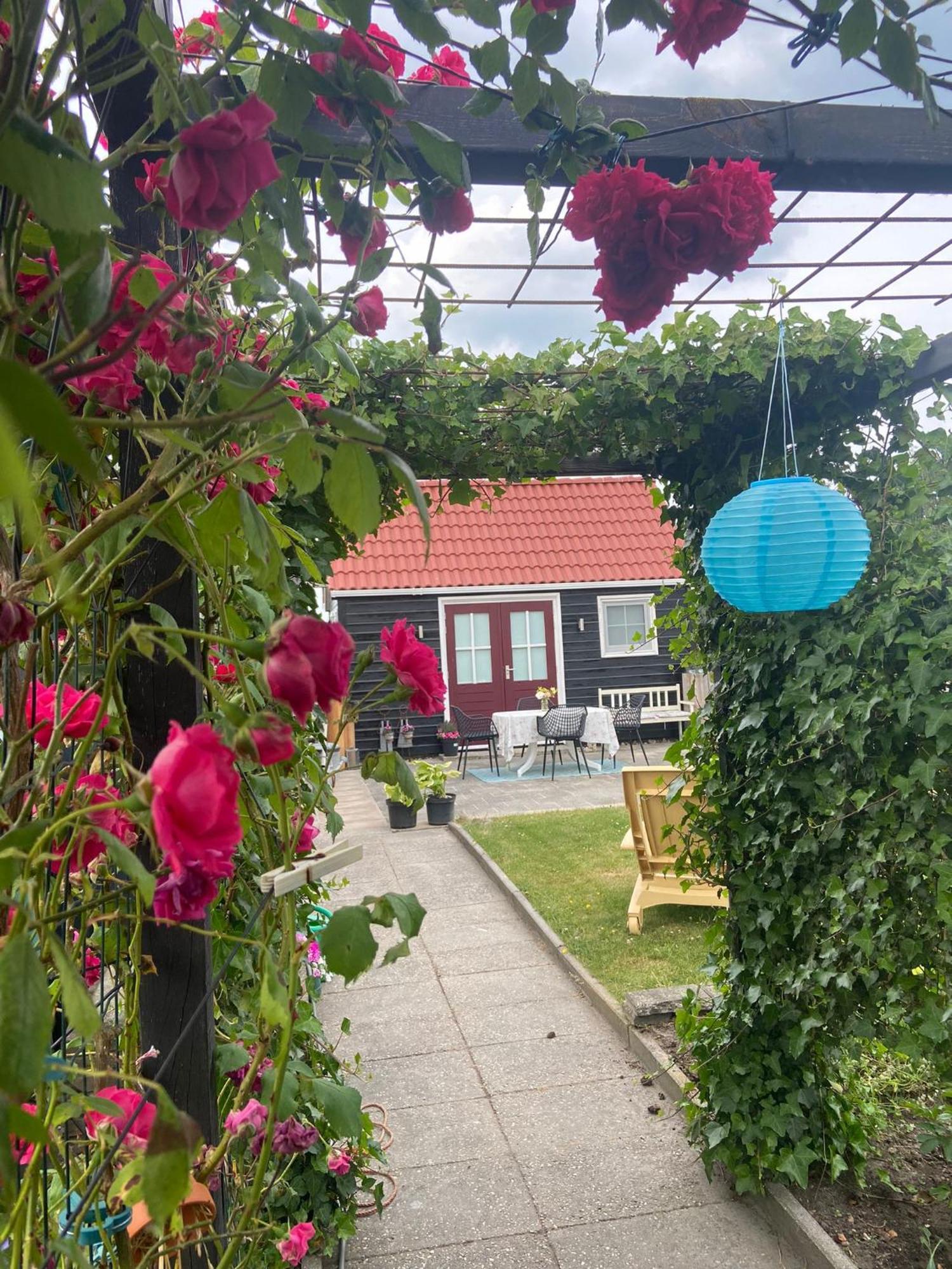 Bed and Breakfast Bed En Brochje De Oase Sweagerbosk Экстерьер фото